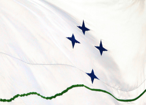 Flag of the South American union of countries, Mercosur / Mercosul, with stars like the European Union, but displaying the Southern Cross constellation - Southern Common Market
