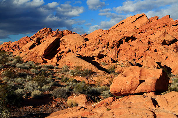 istock Redstone Rocks at Lake Mead National Recreation Area 477516499