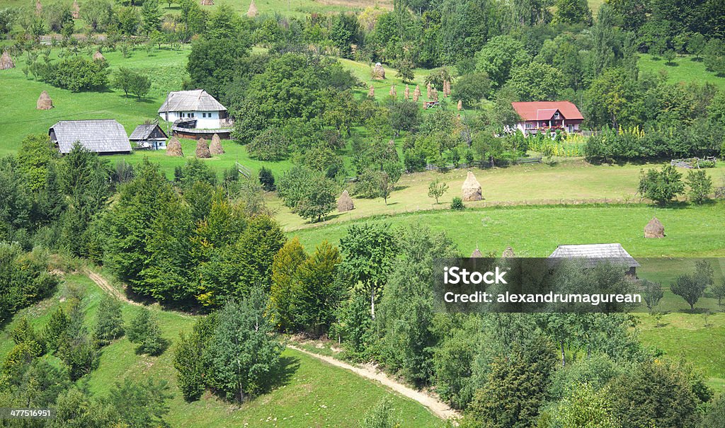 Scena rurale - Foto stock royalty-free di Albero