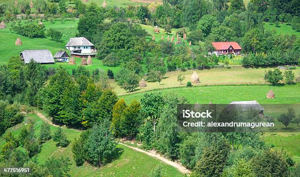 Scena Rurale - Fotografie stock e altre immagini di Albero - Albero, Ambientazione esterna, Area selvatica