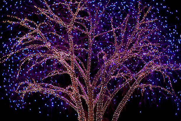 istock Christmas Lights on Cottonwood Tree 477517059