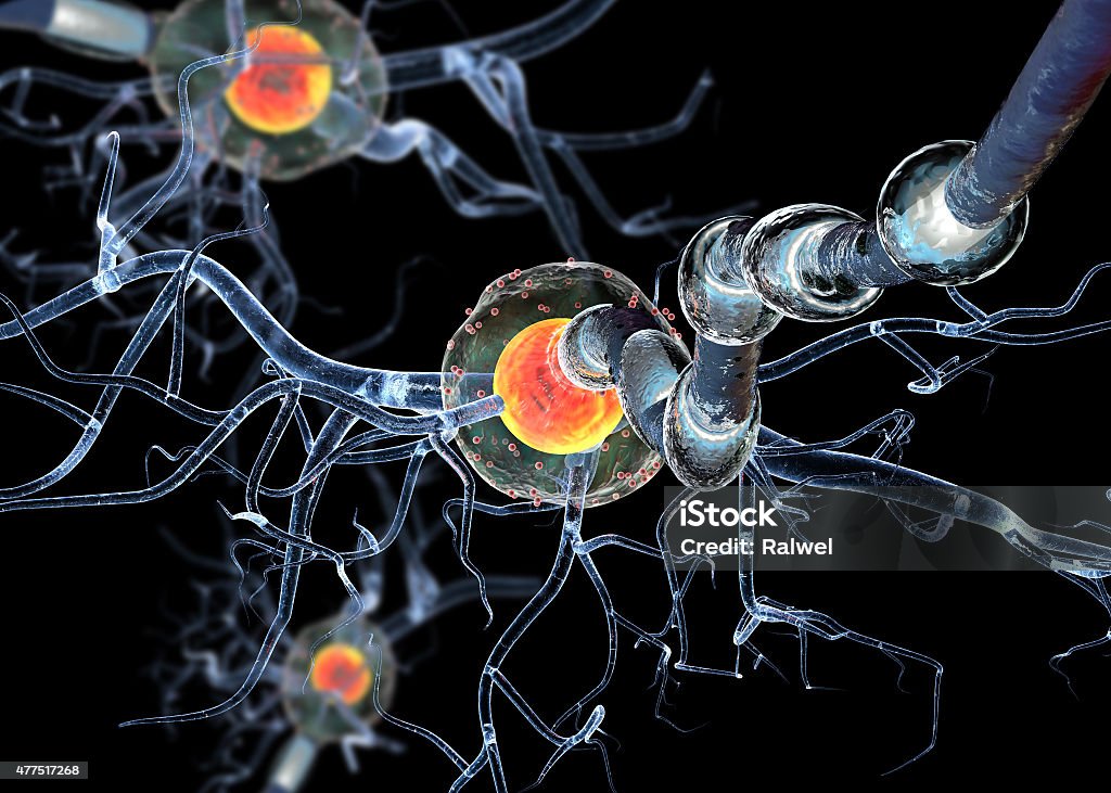 nerve cells,concept for Neurologic Diseases, tumors and brain surgery. High quality 3d render of nerve cells,isolated on black background, concept for Neurologic Diseases, tumors and brain surgery. Human Nervous System Stock Photo