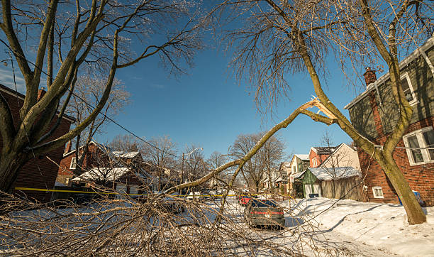 istock Toronto after the Ice storm 477517315