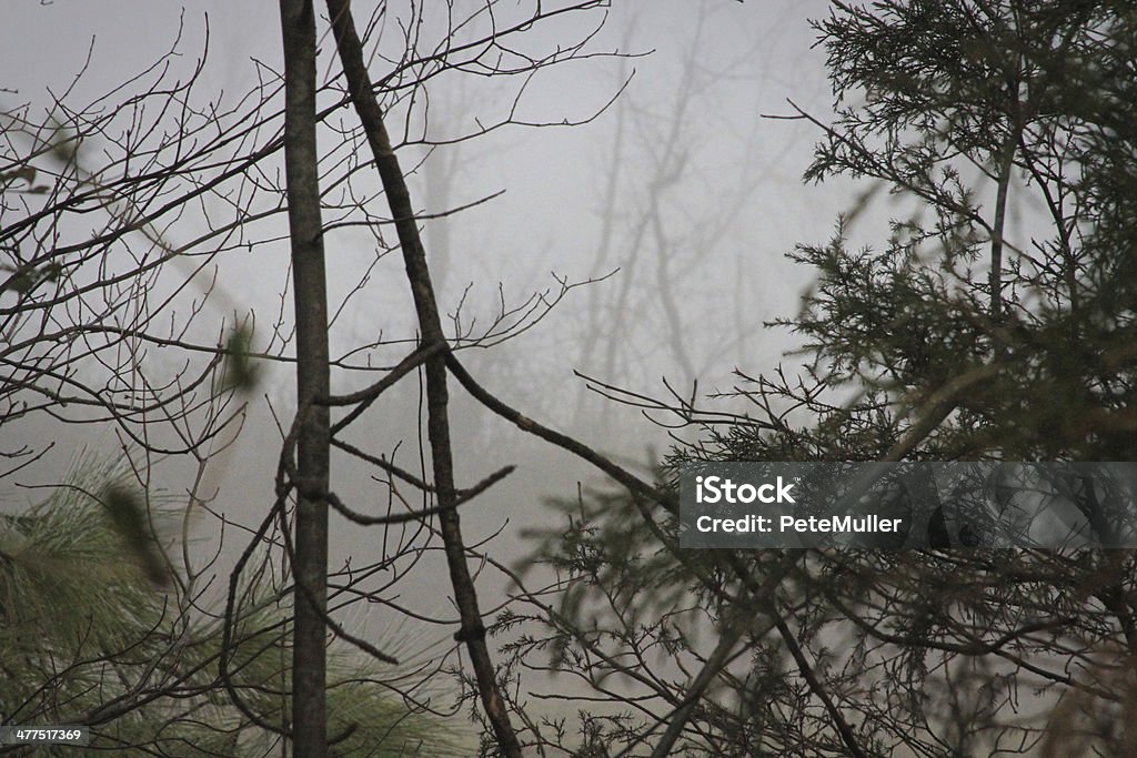 Туман покрытием - Стоковые фото Без людей роялти-фри