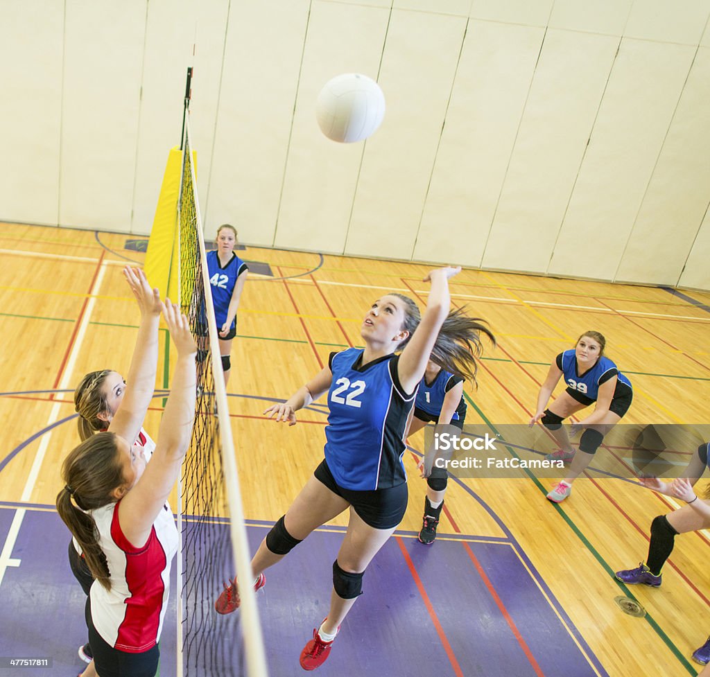 Varsity Voleibol - Royalty-free Voleibol - Bola Foto de stock