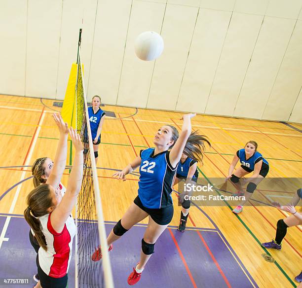 Varsity Voleibol - Fotografias de stock e mais imagens de Voleibol - Bola - Voleibol - Bola, Voleibol - Desporto de Equipa, 16-17 Anos