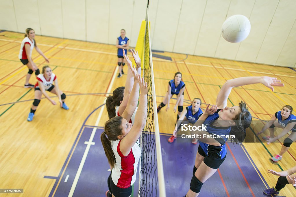 Varsity Volleyball - Zbiór zdjęć royalty-free (16-17 lat)