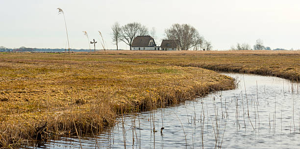 istock House along a river through wetland in winter 477518337