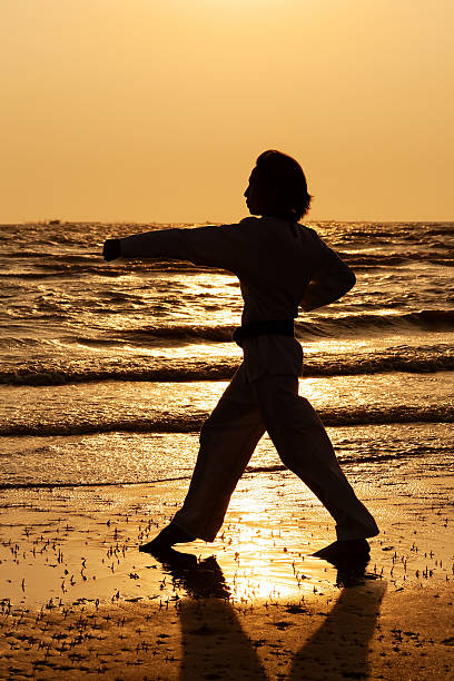 istock Martial art training in silhouette 477518693