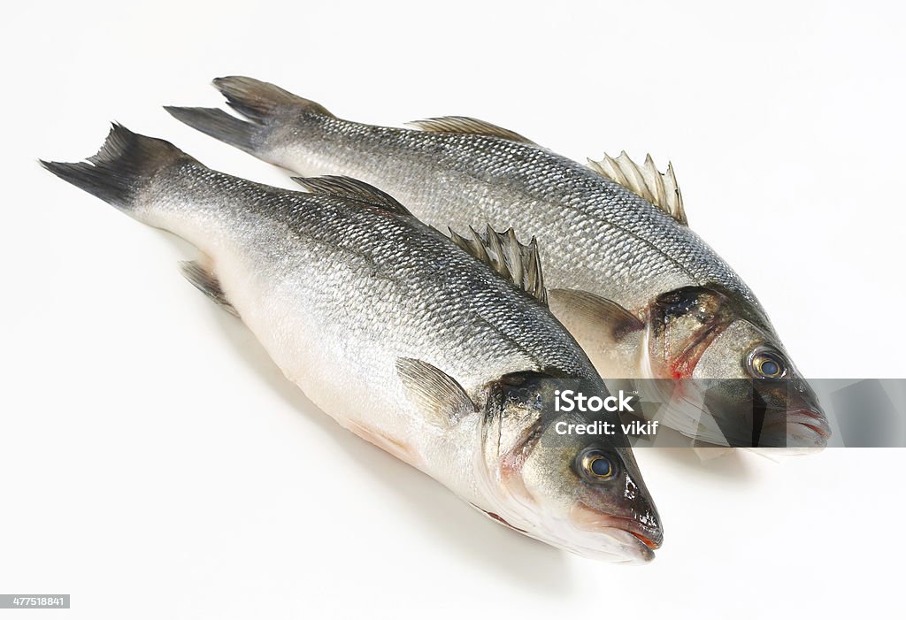 Two fresh sea bass fish Two fresh sea bass fish on white background Close-up Stock Photo