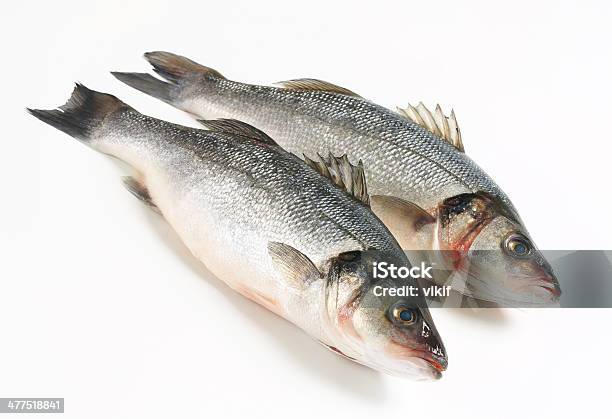 Two Fresh Sea Bass Fish Stock Photo - Download Image Now - Close-up, Fish, Food