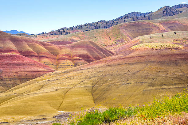 istock Painted Hills National Landmark, Oregon 477520214