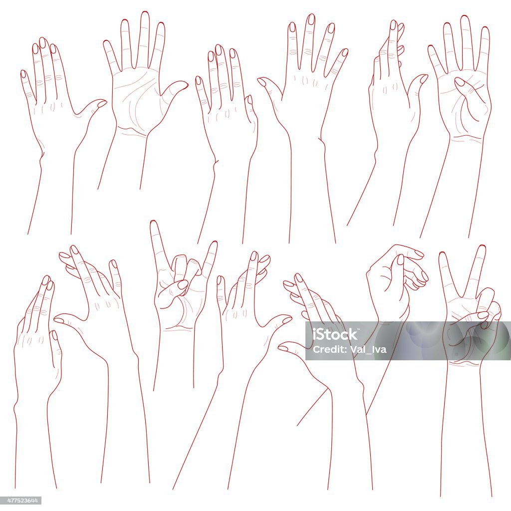 Woman Hands Set Outlines set  of woman  hands  on white background. Drawing - Activity stock vector