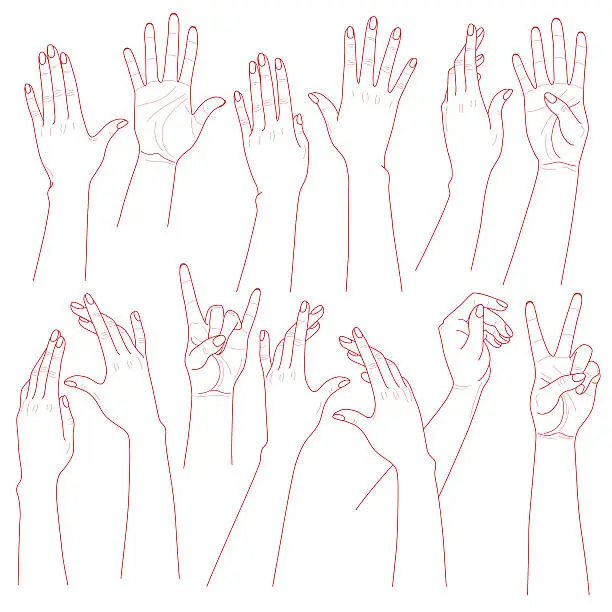 Vector illustration of Woman Hands Set