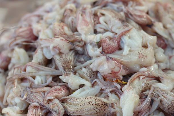 istock Fresh squid on a tray in the market 477525884