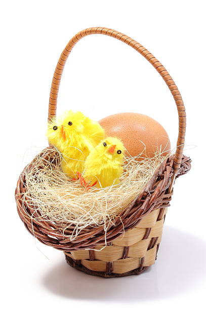istock Easter chickens in wicker basket and fresh egg 477528723