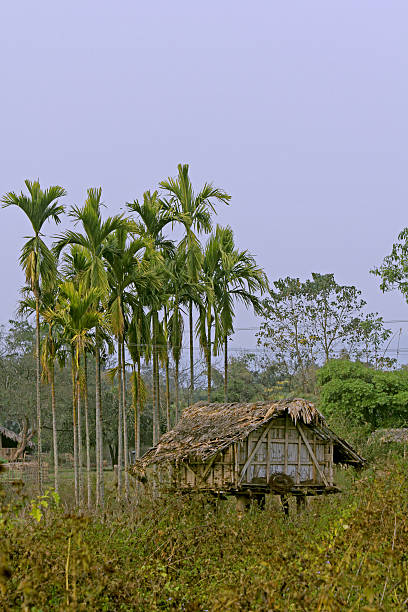 istock Tribes House, Arunachal Pradesh, India 477528771