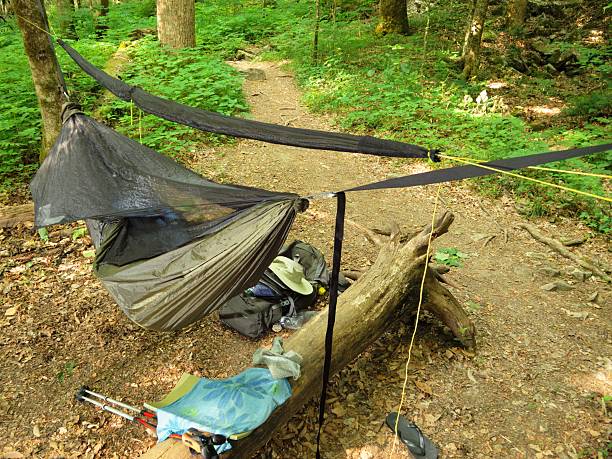 istock Hammock hanging near hiking trail. 477529920