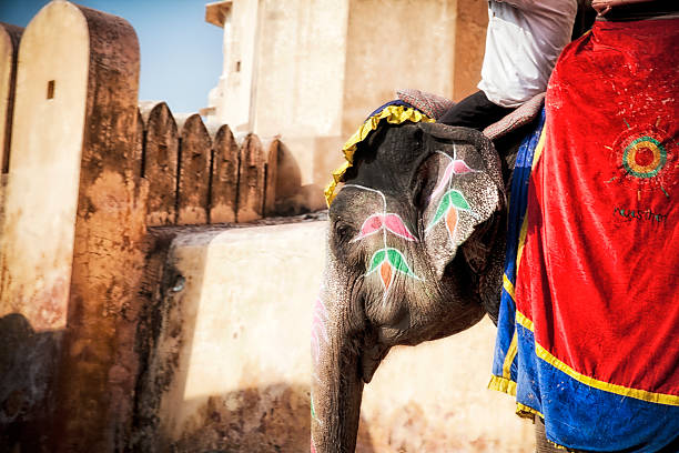 istock Amber fort in Jaipur. 477529952