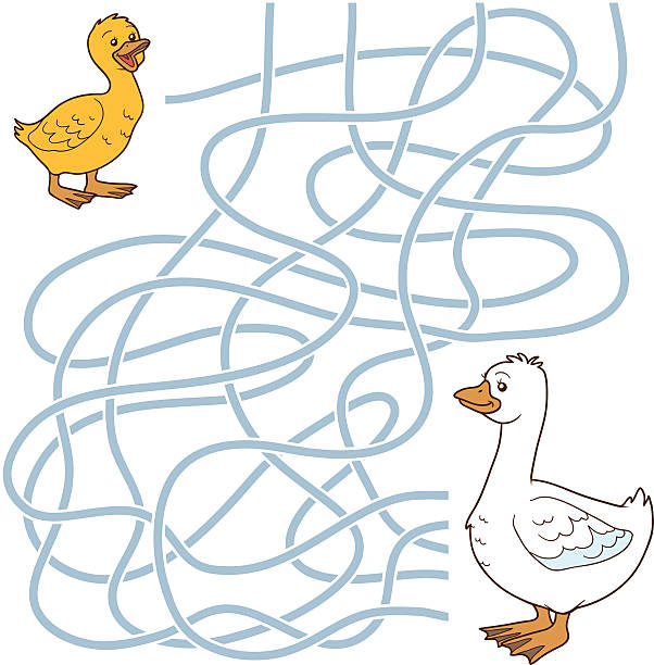 ilustrações, clipart, desenhos animados e ícones de labirinto jogo (goose família - bird yellow child chicken