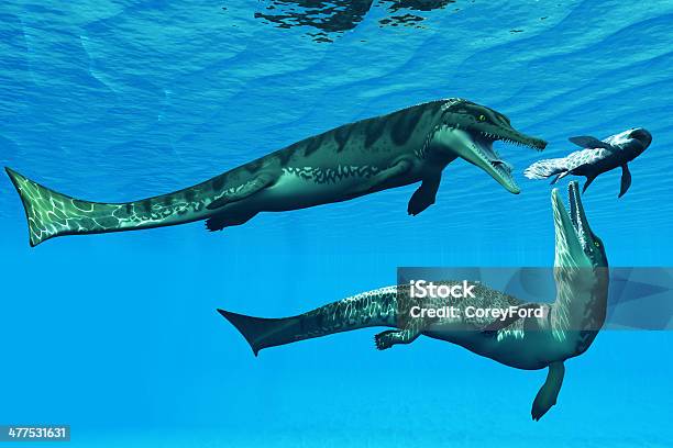Foto de Metriorhynchus Répteis Aquático e mais fotos de stock de Ilustração e Pintura - Ilustração e Pintura, Animal, Barbatana - Parte do corpo animal