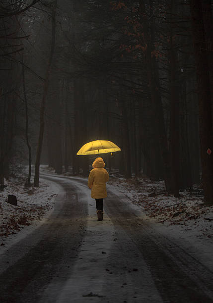 istock Little girl in the dark forest 477533324
