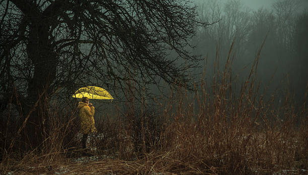 istock Little girl hiding under the old apple tree 477533330