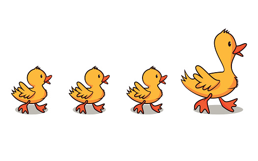 Ducks in a row, vector illustration, happy family, cartoon character, isolated, white background