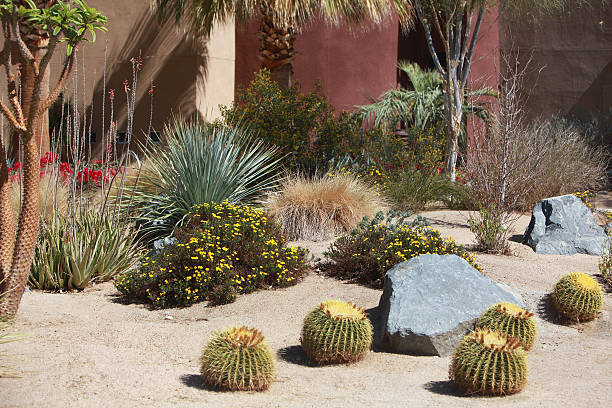 istock Conserve Water Usage With Good Gardening Ideas 477534375