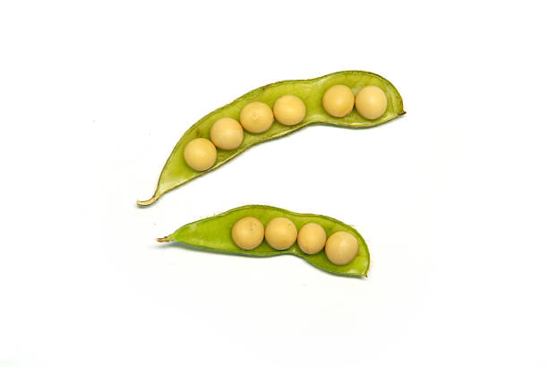 Close-up of stacked fresh boiled green soybeans isolated on white background.