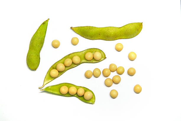 Green soybean isolated on white background, Edamame bean