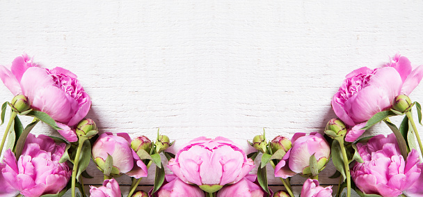 Pink peonies on a white wooden background