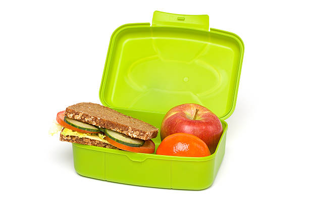 stainless steel lunch box containing an egg salad sandwich and baby carrots, on white background