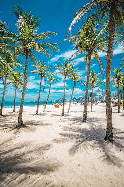 entrada para a praia de copacabana, com palmeiras no rio de janeiro - rio de janeiro corcovado copacabana beach brazil - fotografias e filmes do acervo