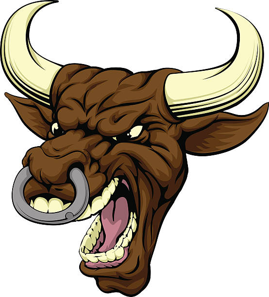 maskotka byk sportowe - texas longhorn cattle horned bull long stock illustrations