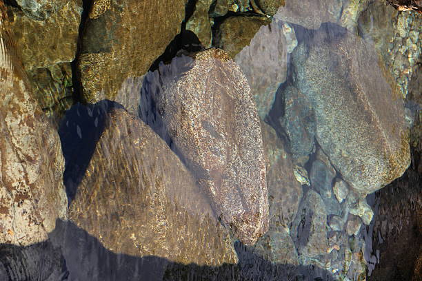 istock Round bolders in shallow clear water 477538546