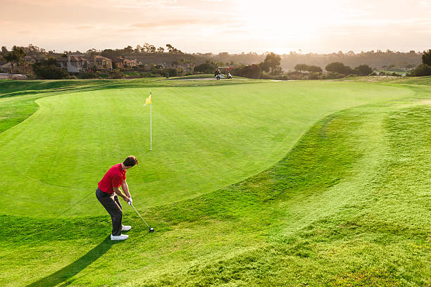 golf mettendo - golf putting determination focus foto e immagini stock