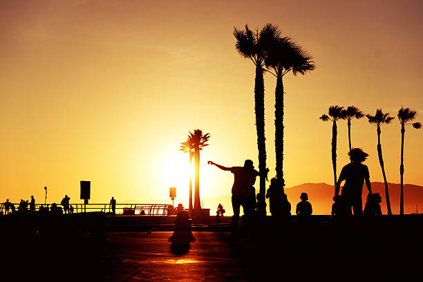 Venice beach sunset, California