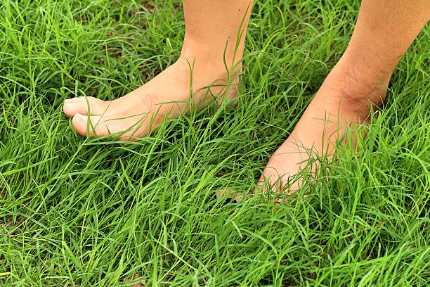 istock Foot on the green grass in the lawn. 477544572