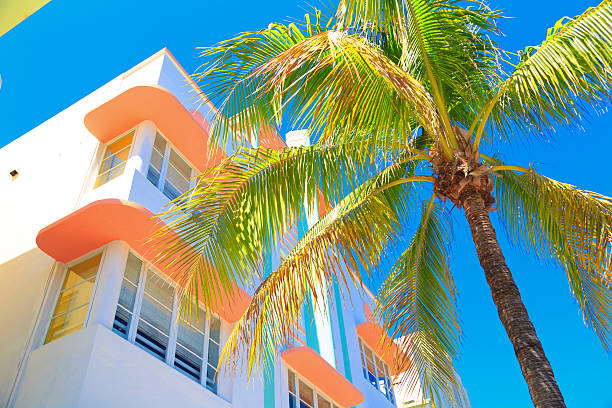 istock Looking up at Miami Beach building with palm tree 477545025