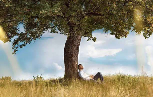 Human sitting under tree. Man repose on grass in nature. Outdoors - outside. No stress, carefree