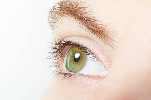 istock Human, green healthy eye macro 477545602