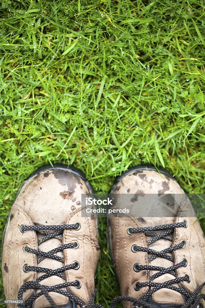 Botas na relva verde - Royalty-free Molhado Foto de stock