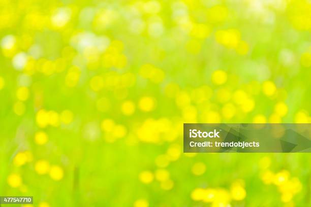 Abstract Nature Impression Stock Photo - Download Image Now - 2015, Allergy, Animal Wildlife