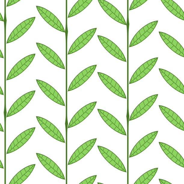 бесшовная текстура с изображением бамбука. зеленой зоне. eco - white background stock illustrations