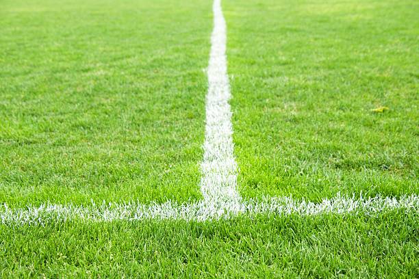 istock Painted white lines on natural football grass. Artificial green turf 477550120
