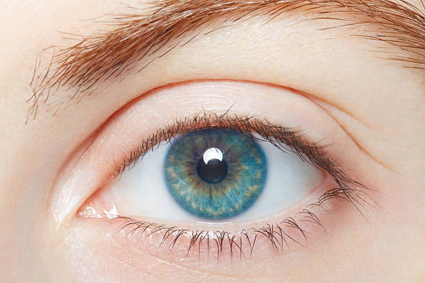 istock Human, blue healthy eye macro 477552702