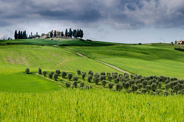 istock landscape of the Val d'Orcia 477552998