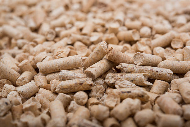 Pellets Biomass Pellets Biomass- close up studio shot pellet gun stock pictures, royalty-free photos & images