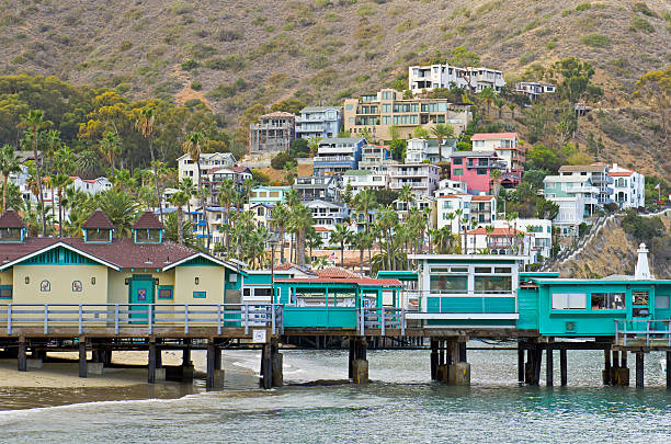 istock Green Pleasure Pier, Avalon 477553398
